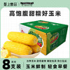 圣上壹品黄糯玉米棒玉米粒香甜糯东北黏苞米可拉丝真空 商品缩略图0