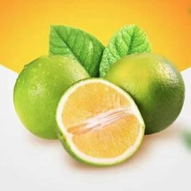 实建褚橙 优级 约5kg/箱