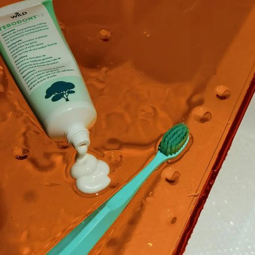 [屁侠推荐]瑞士Dr.wild怀尔德 清新口气 平衡口腔菌群环境 Tebodont茶树精油牙膏75ml 商品图0