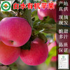 白水有机苹果【产地直发】@fn 商品缩略图0