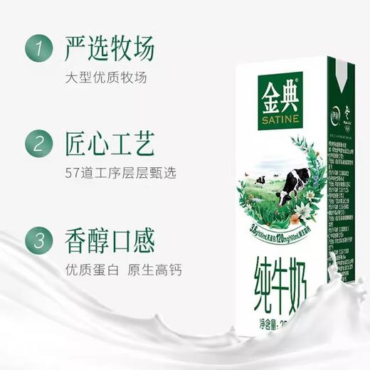 金典纯牛奶 优质蛋白 原生高钙 250ml*12盒/提 商品图3