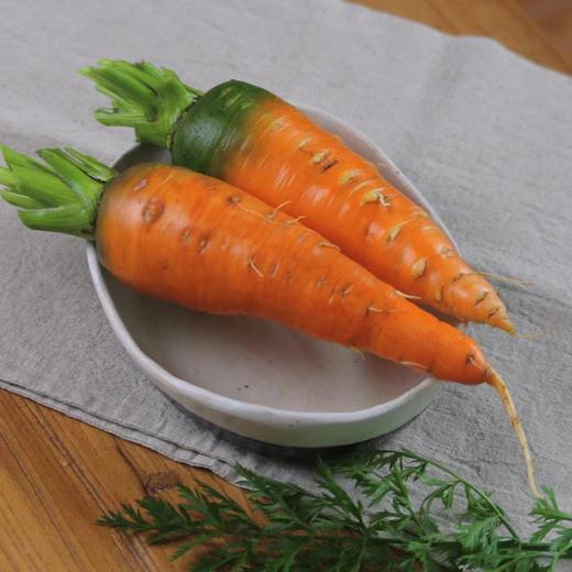 源频·胡萝卜 750g 商品图0