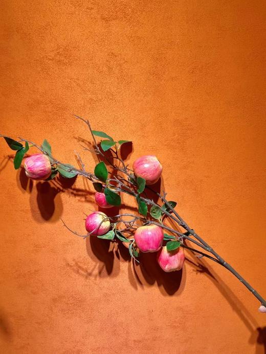 仿真柿子.仿真苹果.仿真桔子.仿真五代黄金果.仿真石榴 商品图4