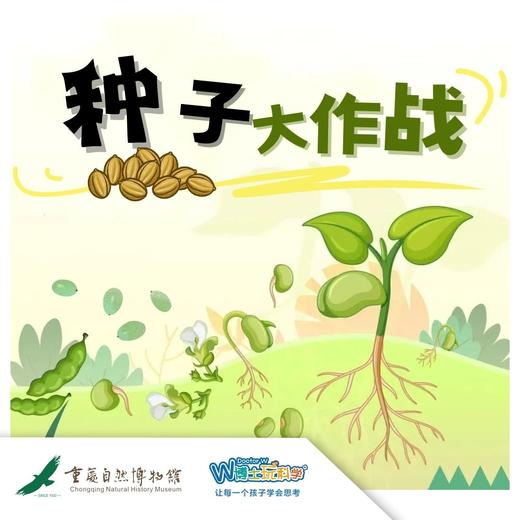 【重庆】种子大作战 商品图0