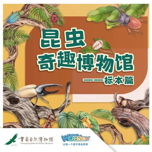 【重庆】昆虫奇趣博物馆 商品图0