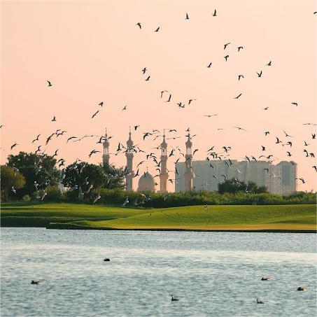 阿尔佐拉高尔夫俱乐部  Al Zorah Golf Club  | 迪拜高尔夫 | 阿联酋高尔夫球场俱乐部 ｜中东高尔夫 商品图10