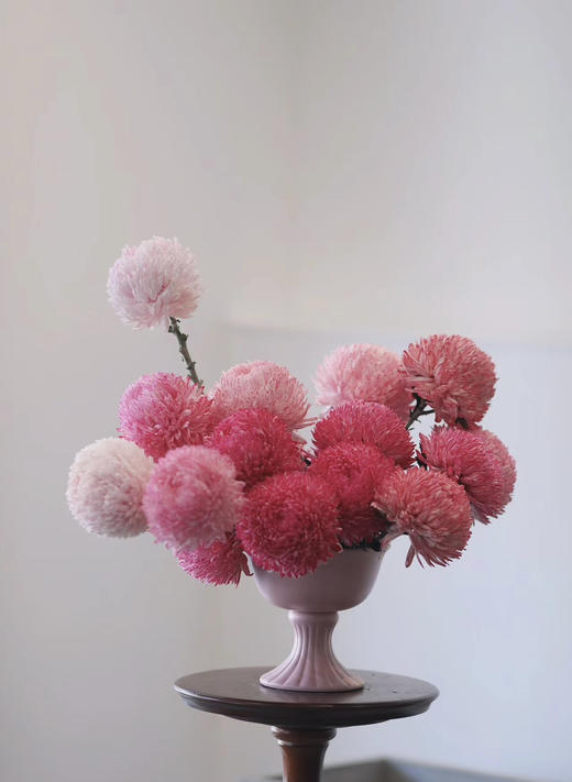 【圆满】-马来西亚牡丹菊  5枝/扎（多色可选） 商品图0