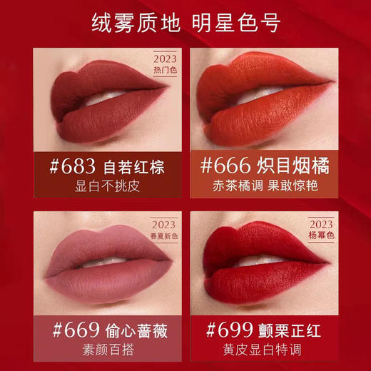 雅诗兰黛绒雾小金管 唇膏口红333 420 699 683 669 哑光丝绒【CDF】 商品图4