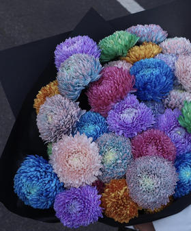 【真国色】国产牡丹菊  多色可选  5枝/扎