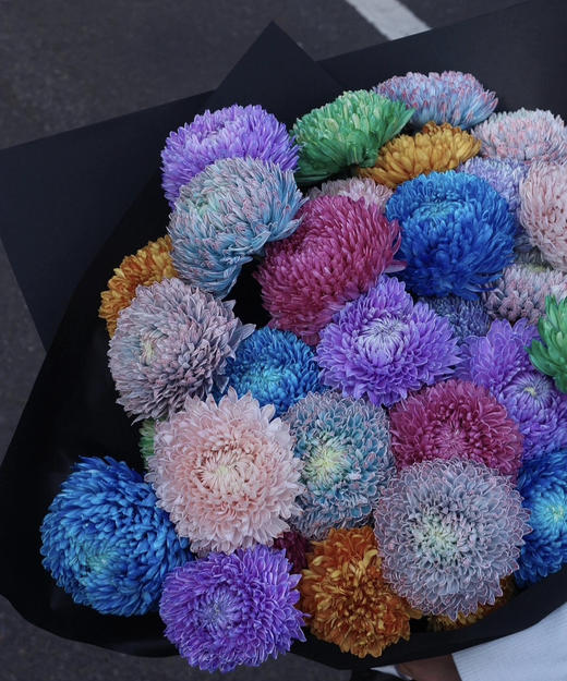 【真国色】国产牡丹菊  多色可选  5枝/扎 商品图0