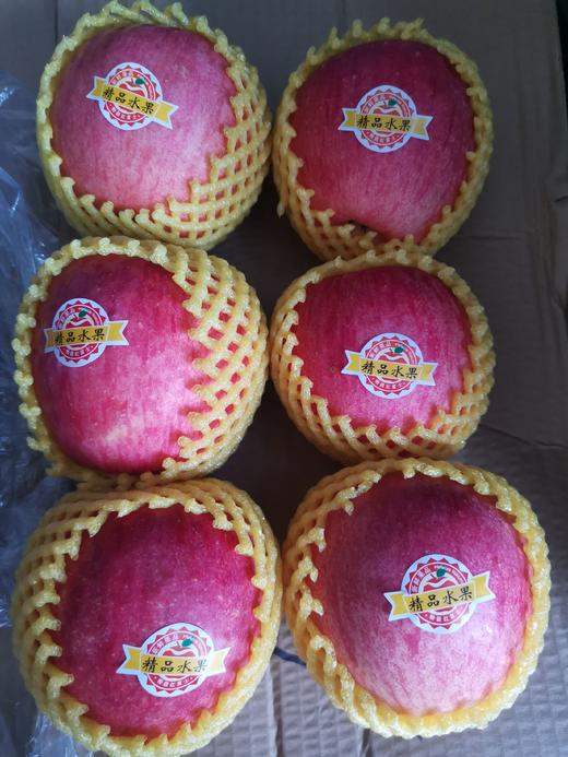 洛川红富士 精品爆甜大果 8斤礼盒装【FY】 商品图4