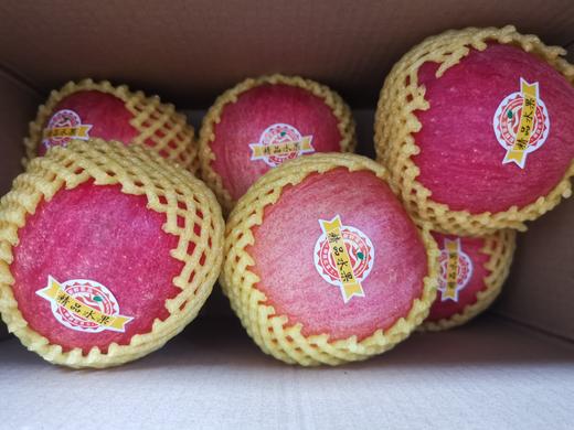 洛川红富士 精品爆甜大果 8斤礼盒装【FY】 商品图3