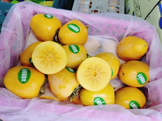 芒果脆柿子一箱 商品图1