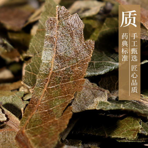 枇杷叶 康美中药饮片 独立小包装 商品图2