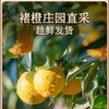 【2025年新鲜褚橙】下单即赠36元券包  7天左右发货 褚橙官方正品 当季新鲜橙子 甜蜜多汁 礼盒装10斤 5种规格任选 商品缩略图4