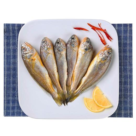 舟山野生小黄鱼（1斤7条装） 商品图0