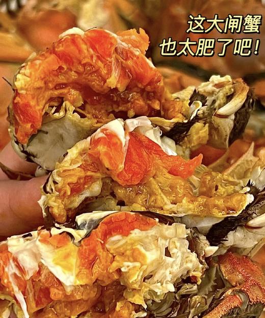 爆黄江苏红膏大闸蟹 有身份证的大品牌螃蟹  鲜活 收到后2小时内有问题可售后 过时不候 商品图0