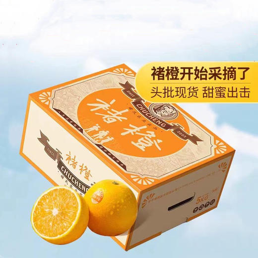 【2025年新鲜褚橙】下单即赠36元券包  7天左右发货 褚橙官方正品 当季新鲜橙子 甜蜜多汁 礼盒装10斤 5种规格任选 商品图7