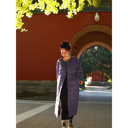 【抖音专属】棉服（内胆）（23802693L-延维） 商品图2