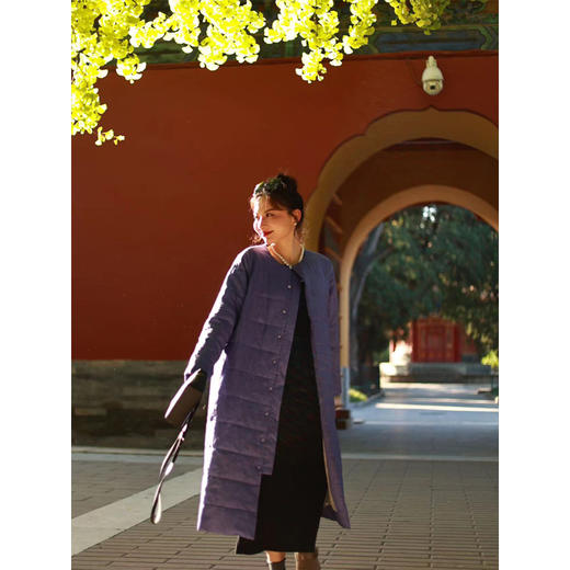 【抖音专属】棉服（内胆）（23802693L-延维） 商品图1