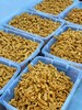 鹰城陈三娘无糖麻花（自己做的麻花品牌 商品缩略图1