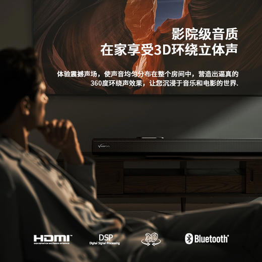 美国 VIMISS 家庭娱乐中心 高清影院卡拉OK回音璧 无线低音炮双无线麦克风套装 商品图3