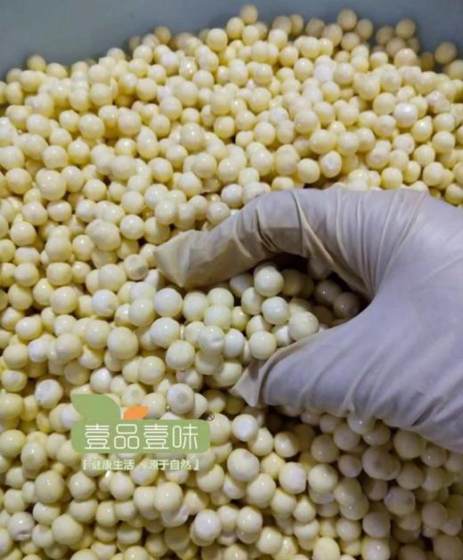 苏州地产手剥鸡头米 （普通大小）（2斤~6斤）江浙沪皖包邮 外省补运费差价 商品图0