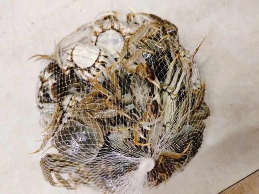 公母混河蟹3斤 商品图0