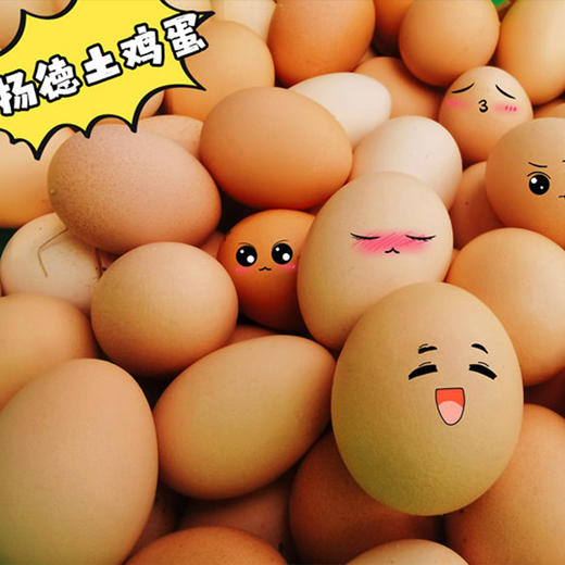 【超级爆款-排队至4月16后日发货】扬德林下土鸡蛋（40枚/箱） 商品图3