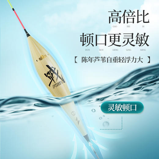 4.9元+160积分兑换 芦苇综合漂 商品图3