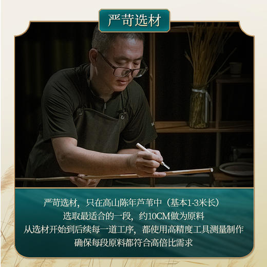 4.9元+160积分兑换 芦苇综合漂 商品图4