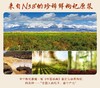 宁夏中宁·红枸杞原浆 黑枸杞原浆 商品缩略图9