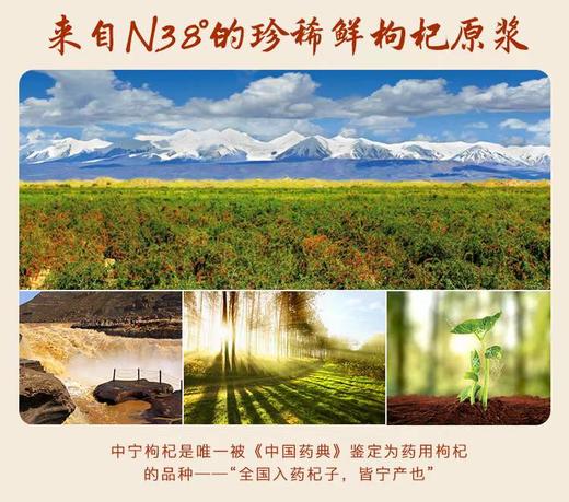 宁夏中宁·红枸杞原浆 黑枸杞原浆 商品图9