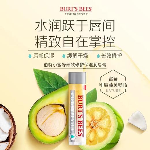 KJ 伯特小蜜蜂保湿润唇膏 4.25g  5款香型 商品图3