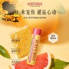 KJ 伯特小蜜蜂保湿润唇膏 4.25g  5款香型 商品缩略图4