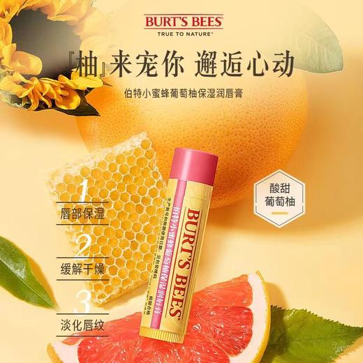 KJ 伯特小蜜蜂保湿润唇膏 4.25g  5款香型 商品图4