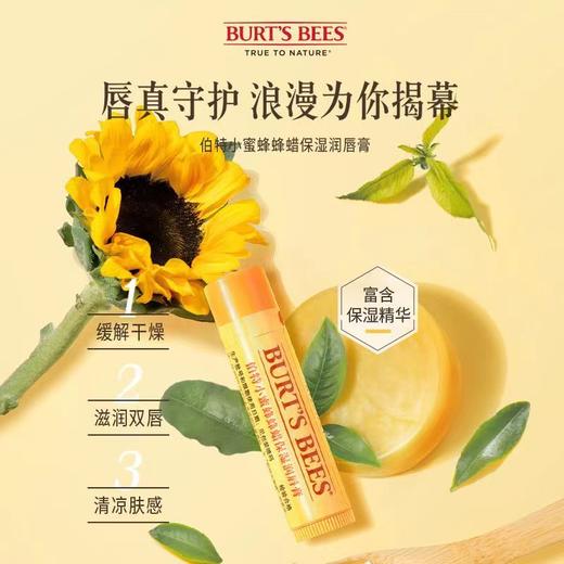 KJ 伯特小蜜蜂保湿润唇膏 4.25g  5款香型 商品图1