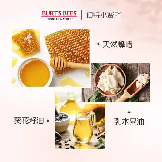 【近效商品 效期至26年12月 介意勿拍】KJ 美国伯特小蜜蜂淡彩润唇膏- 豆沙木槿  水漾粉菊   元气木兰 温柔玫瑰 4.25g   随心pick 商品图1