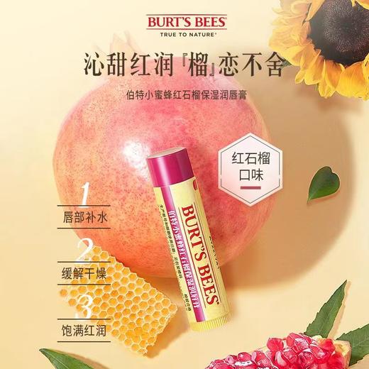 KJ 伯特小蜜蜂保湿润唇膏 4.25g  5款香型 商品图5
