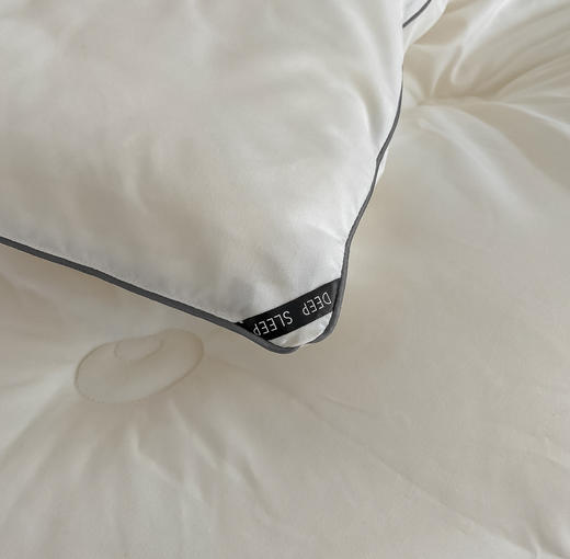 【限时秒杀】自然醒蜻蜓刺绣大豆被轻奢款四季被子春秋被超柔冬被LFS（不参与优惠券） 商品图10