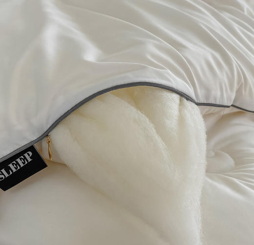 【限时秒杀】自然醒蜻蜓刺绣大豆被轻奢款四季被子春秋被超柔冬被LFS（不参与优惠券） 商品图11