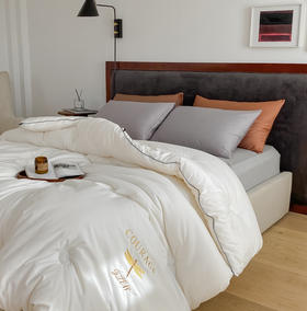 自然醒蜻蜓刺绣大豆被轻奢款四季被子春秋被超柔冬被LFS