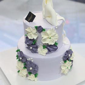 【梦幻紫罗兰】