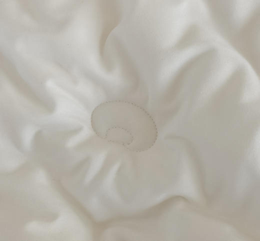 【限时秒杀】自然醒蜻蜓刺绣大豆被轻奢款四季被子春秋被超柔冬被LFS（不参与优惠券） 商品图9