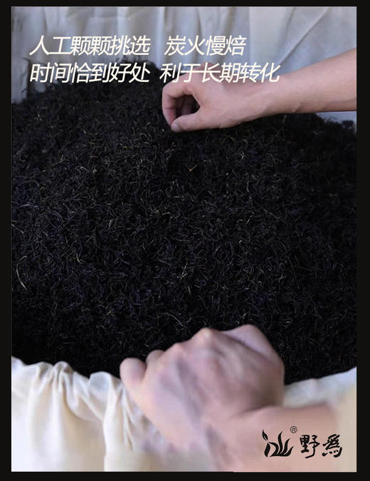 野为 | 2023年野生古树天尖60g尝鲜款 商品图7