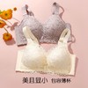 明净清新 文胸(VIP)  内衣女薄款大胸显小无钢圈舒适调整型收副乳防下垂文胸 商品缩略图1