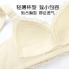 明净清新 文胸(VIP)  内衣女薄款大胸显小无钢圈舒适调整型收副乳防下垂文胸 商品缩略图5