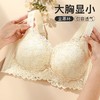 明净清新 文胸(VIP)  内衣女薄款大胸显小无钢圈舒适调整型收副乳防下垂文胸 商品缩略图3
