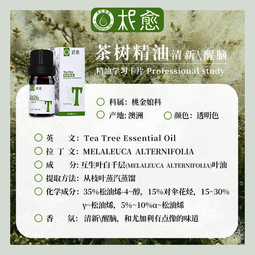 【柅愈】茶树纯精油5ml 澳洲原产茶树精油 单方纯精油 扩香/熏香/调油 商品图3