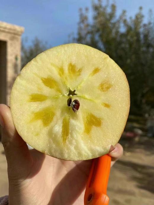 【产地优选】9.9元/每箱  云南 冰糖心丑苹果（3.5斤左右） 商品图2